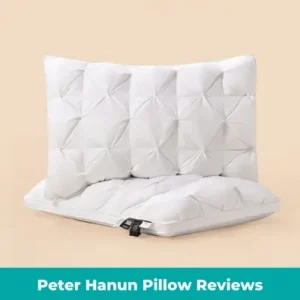 Peter Hanun Pillow Reviews