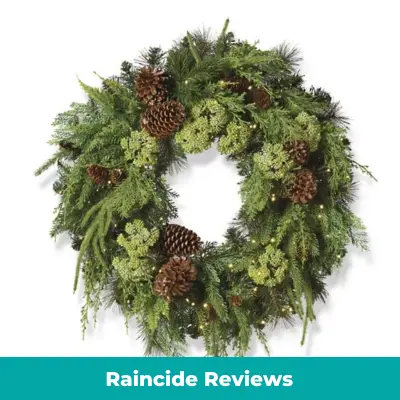 Read more about the article Raincide Reviews – Is It A Legit Place To Buy Wreath Gifts Or Another Online Scam?