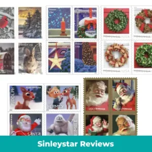 Read more about the article Sinleystar Reviews – Is It A Trustworthy Online Store or Another Scam With Customers?