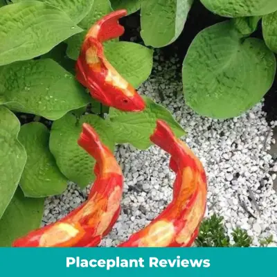 Read more about the article Placeplant Reviews – Best Place To Buy Artificial Plants & Birds Or Another Online Scam?