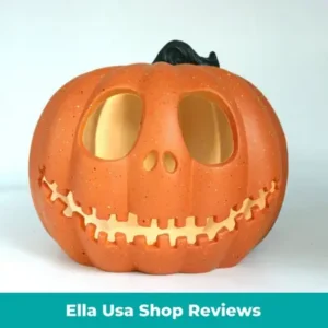 Read more about the article Ella Usa Shop Reviews – Is Ellausashop.com A Legit Website or Another Online Scam?