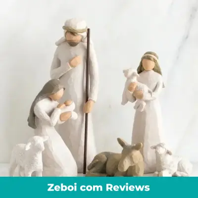 Zeboi com Reviews