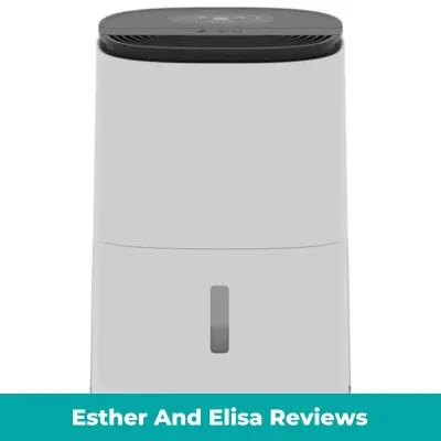 Esther And Elisa Reviews – Is It The Best Air Purifier Website or Waste of Money?